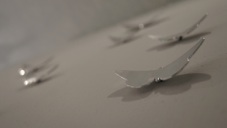 imageGallery