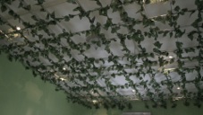 imageGallery